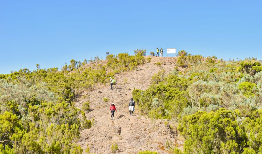 Mt. Kipipiri Excursion Review