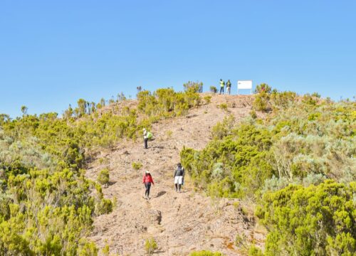 Mt. Kipipiri Excursion Review