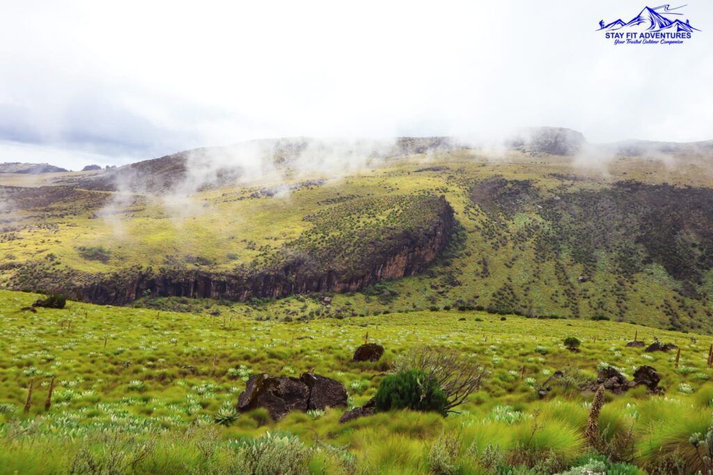 Mackinder’s Valley Excursion