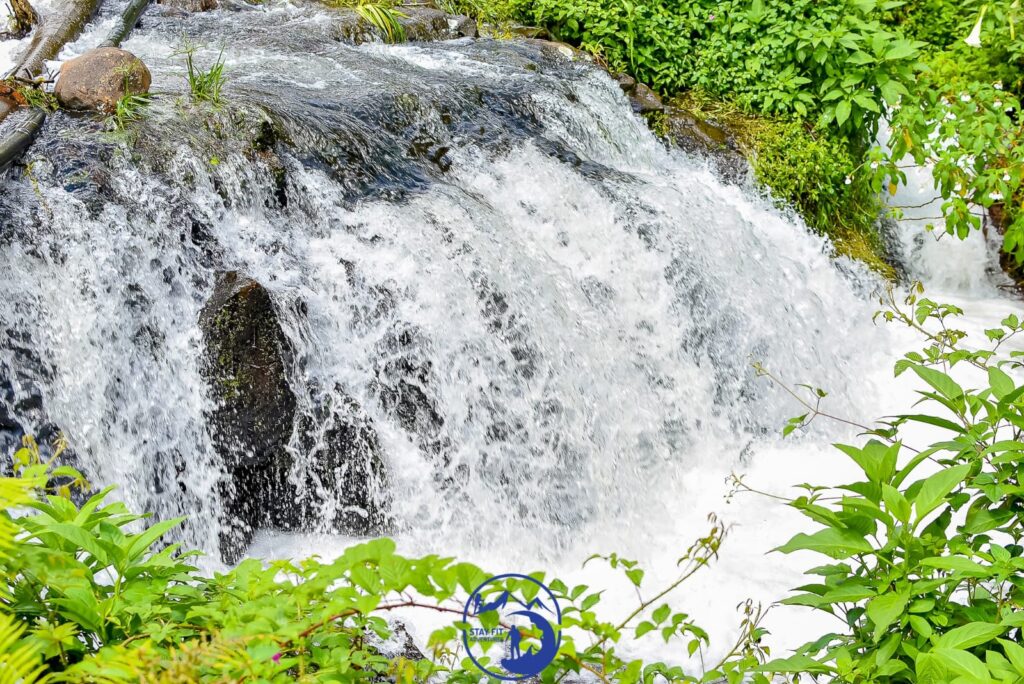 Castle Forest And Ford Waterfall In Mt Kenya