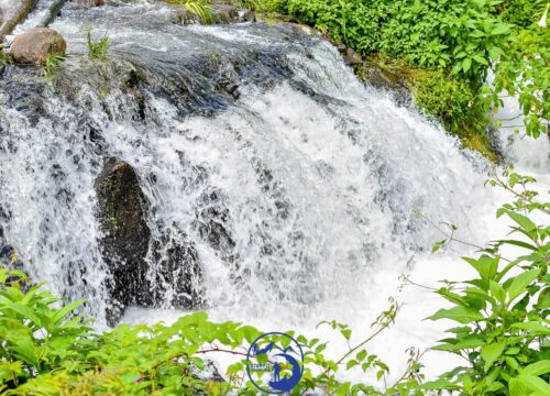 Castle Forest And Ford Waterfall In Mt Kenya