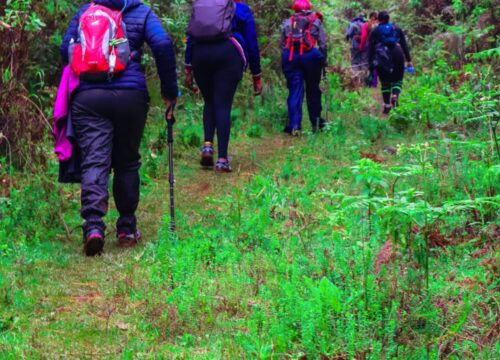 Ndeiya Ridge explore