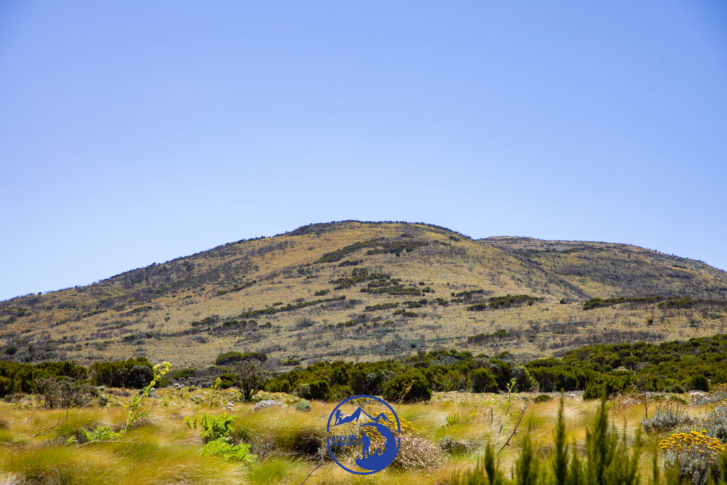 Mother Kinangop review by Jane Gatonye