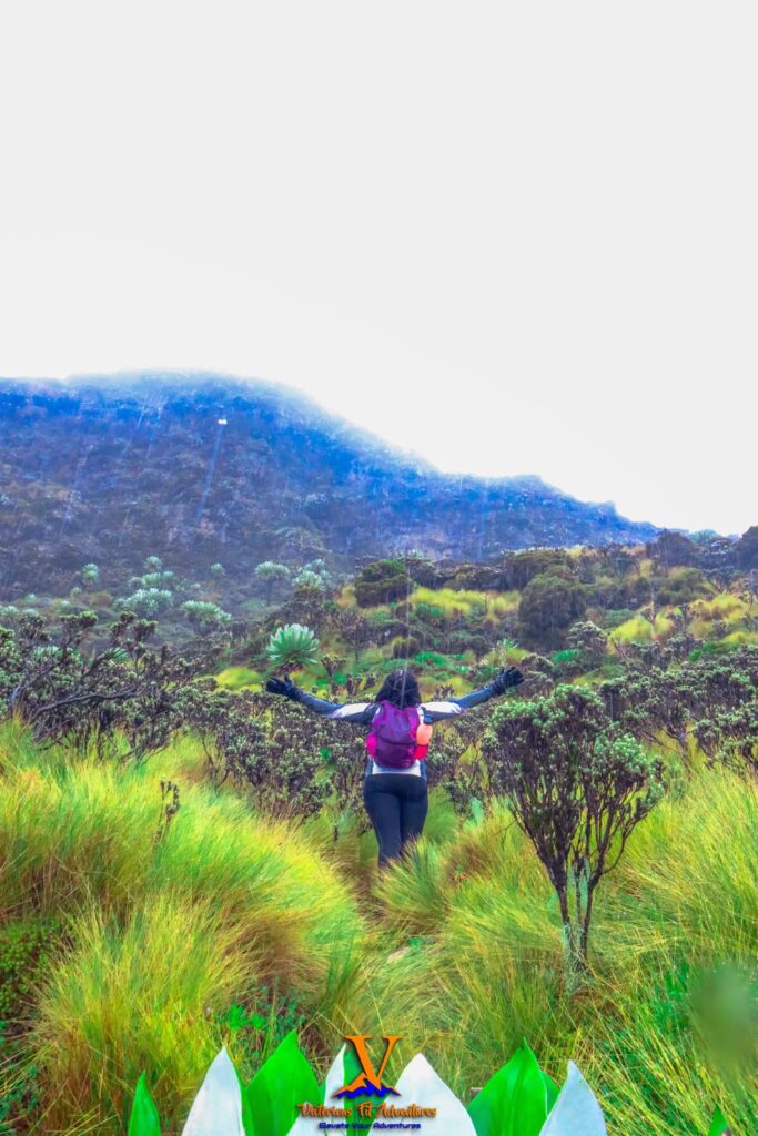 Review of Mother Kinangop in Aberdare Ranges