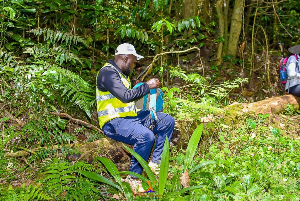 When is the best time to start doing it?