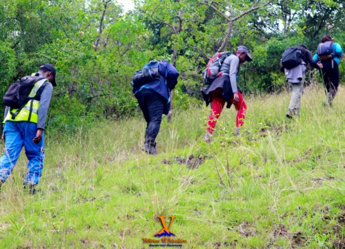 HIKING MOUNT OLESEKUT