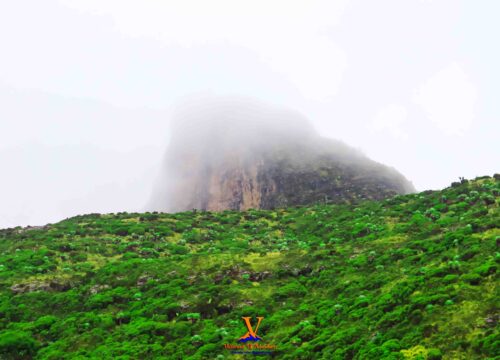 Elephant Hill to Mount Kinangop and back