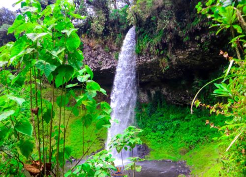 Ford Falls – The Hidden Gem of Castle Forest